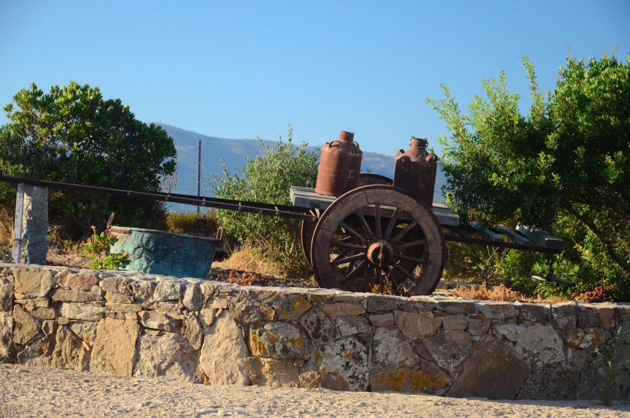 Agriturismo Costa Verde Arbus Eksteriør billede
